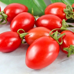 圣女果小番茄西红柿子千禧果新鲜蔬菜非海南水果生吃5斤